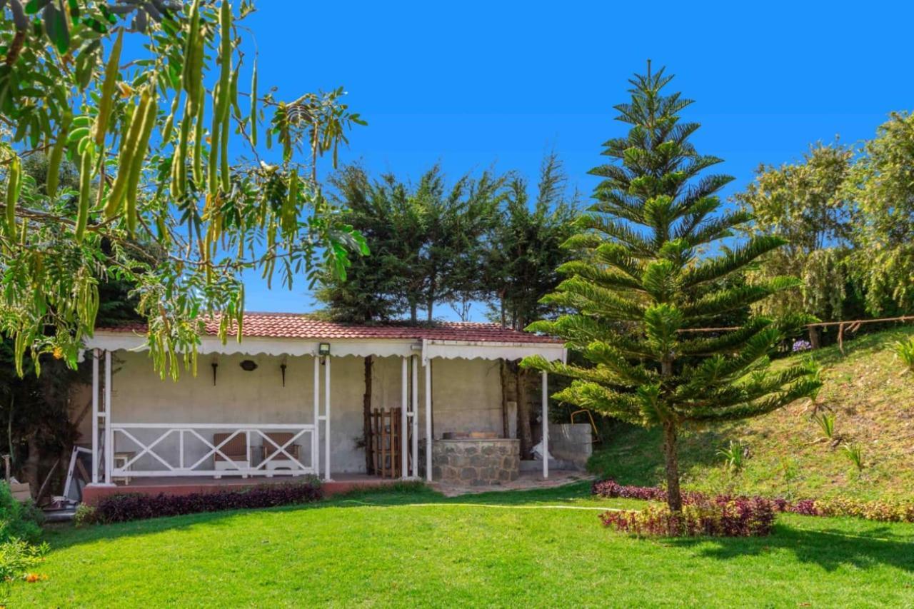 Pine View Stay Ooty Extérieur photo
